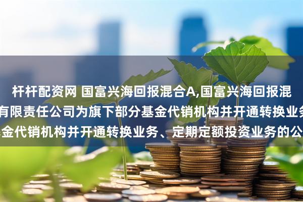 杆杆配资网 国富兴海回报混合A,国富兴海回报混合C: 关于增加华福证券有限责任公司为旗下部分基金代销机构并开通转换业务、定期定额投资业务的公告