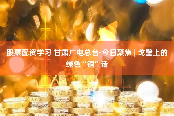 股票配资学习 甘肃广电总台·今日聚焦 | 戈壁上的绿色“铜”话